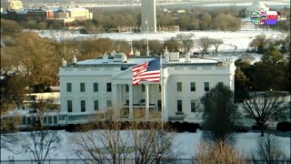 TWO CATS U.S. POLITICAL NEWS