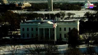 TWO CATS U.S. POLITICAL NEWS