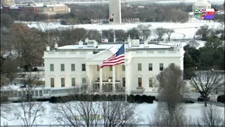 TWO CATS U.S. POLITICAL NEWS