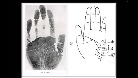 Surrealisten Astro-Chirologisch-C.Wolff/M.Magg