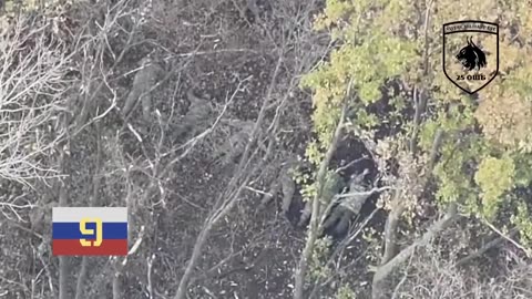 💥💪 Ukraine Russia War | Ukrainian 25th Assault Battalion Clears Area, Takes Out 72 Russian So… | RCF