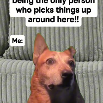 Traditional Gender Roles