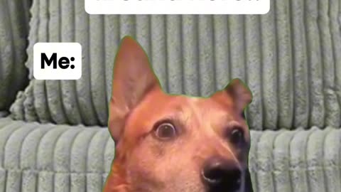 Traditional Gender Roles