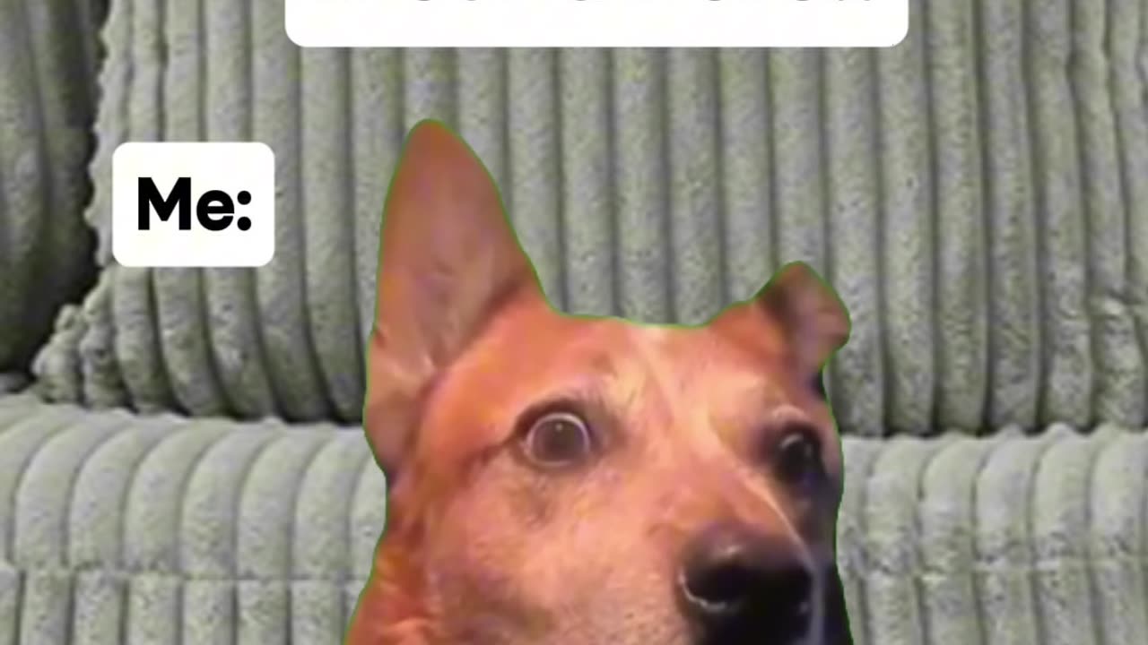 Traditional Gender Roles