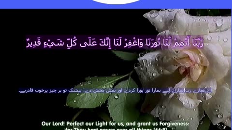 Top 40 Rabbana Duas Every Muslim Should Know (dua no 40) #shorts