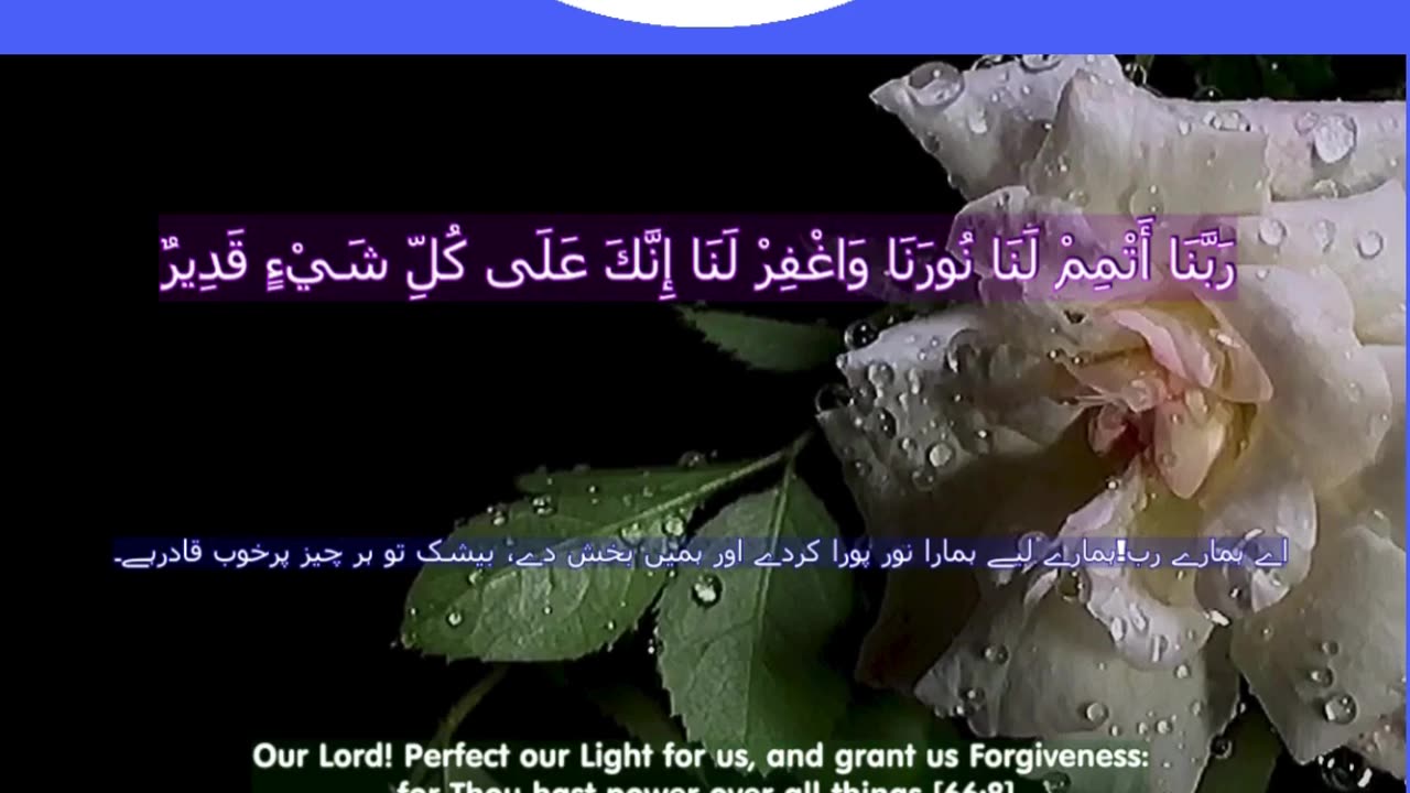 Top 40 Rabbana Duas Every Muslim Should Know (dua no 40) #shorts