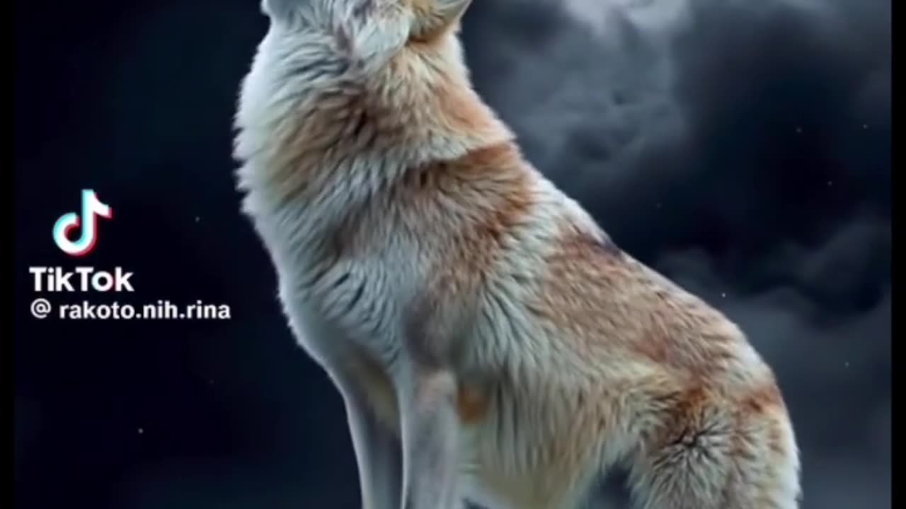 #за цео#свет#љубав#балада#2025#@Александар