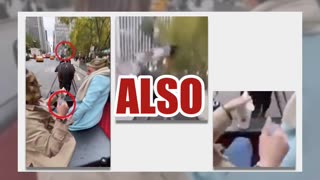 Fact Check: Manure Incident In New York City Carriage Ride Video NOT Real -- AI-Generated Horseshit