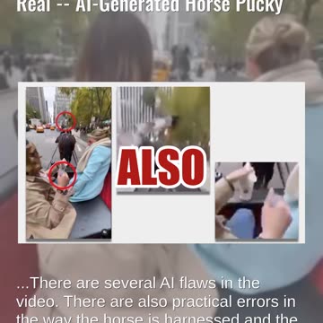 Fact Check: Manure Incident In New York City Carriage Ride Video NOT Real -- AI-Generated Horseshit