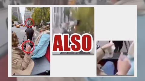 Fact Check: Manure Incident In New York City Carriage Ride Video NOT Real -- AI-Generated Horseshit
			