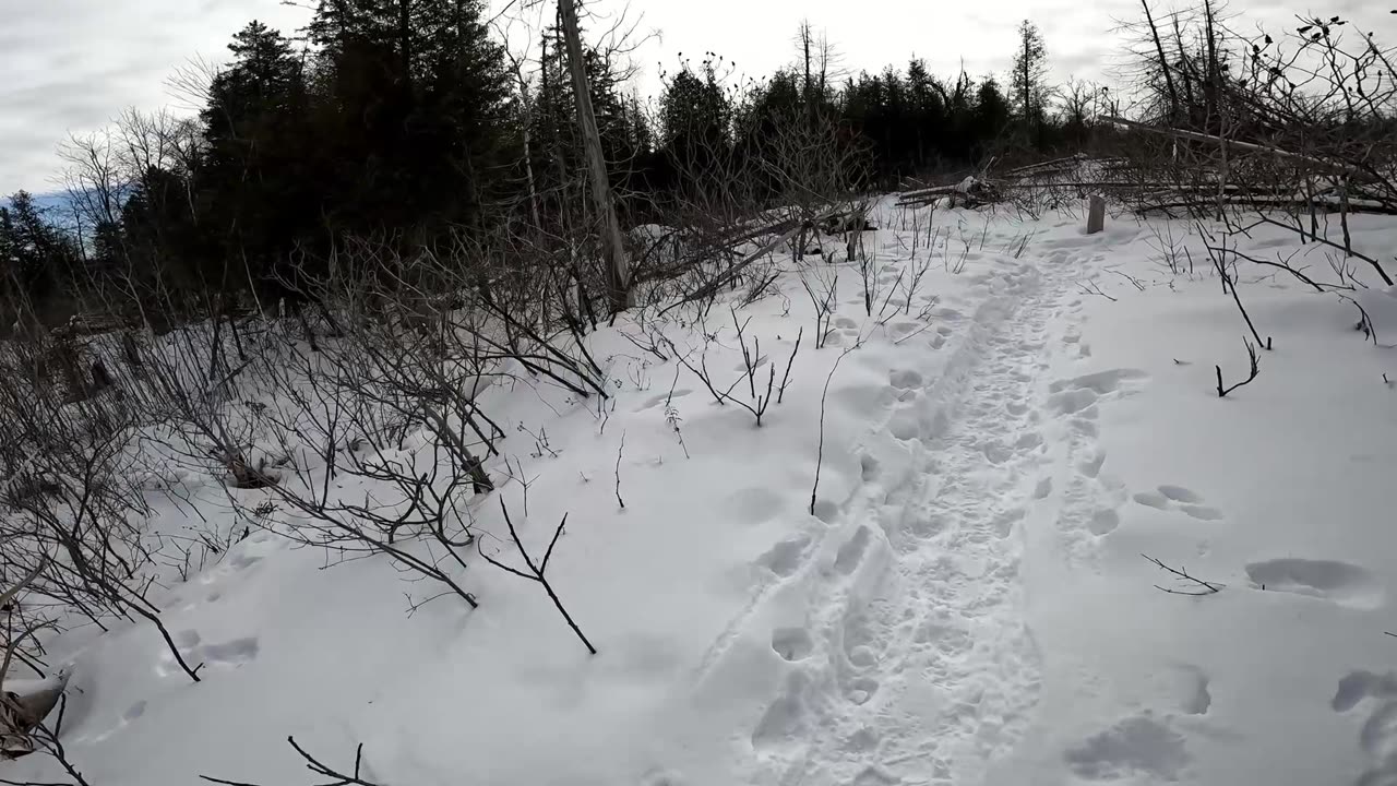 ❄️2025⛷️❄️03-03☃️-26🏂Winter Hiking⛄ Welcome To Lime Kiln Trails Part 6 in Ottawa ⛷️❄️⛄ Canada 🍁