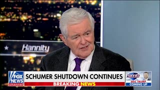 Newt Gingrich Shares 'Number One Thing' GOP Needs To Push Back Against Democrats