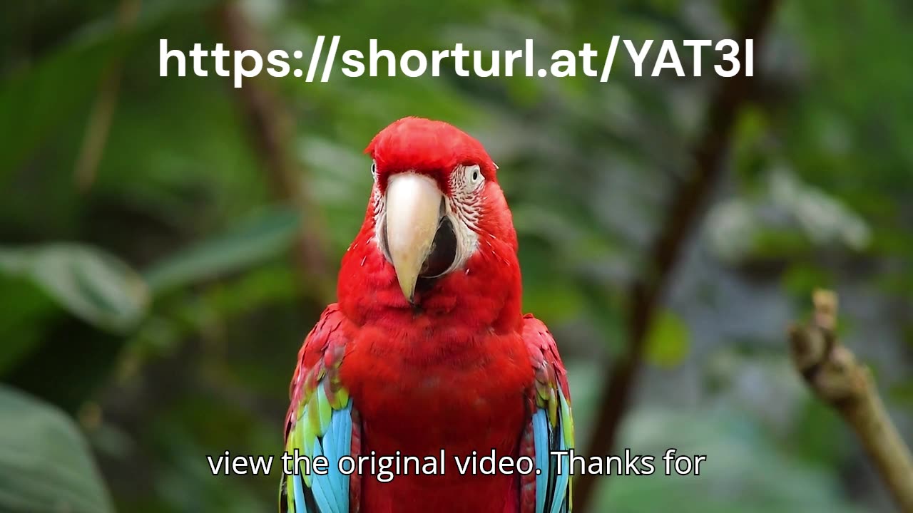 Energy Based Weapons Are Real