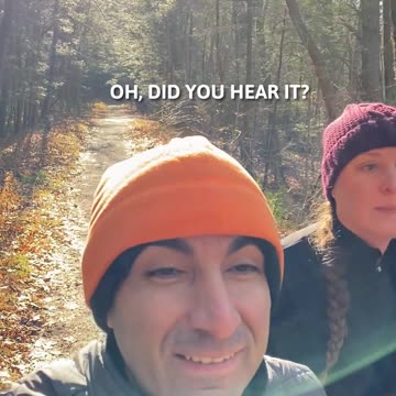 STRANGE NOISES AND BUNNY EARS