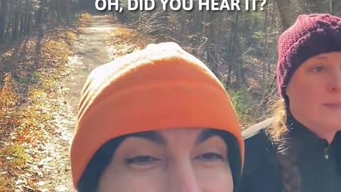 STRANGE NOISES AND BUNNY EARS