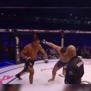 Unforgettable Knockouts: The Moments That Felt Like Art in the World of Combat!