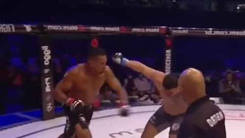 Unforgettable Knockouts: The Moments That Felt Like Art in the World of Combat!