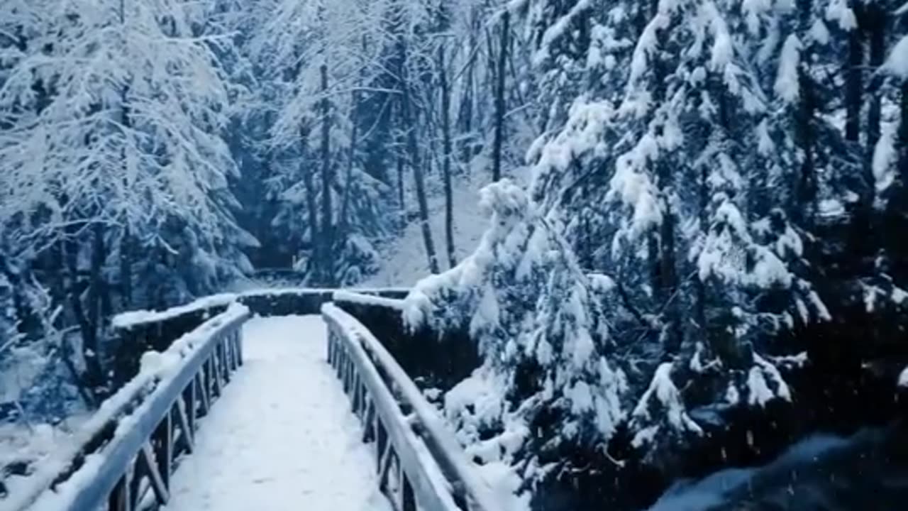 Sledding Down Crazy Hills! 🎿 | Epic Snow Vlog