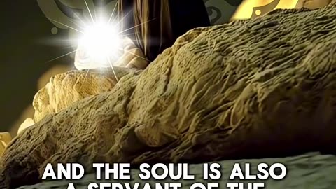 Frequency of Servitude_ The Soul’s Relationship with The Body