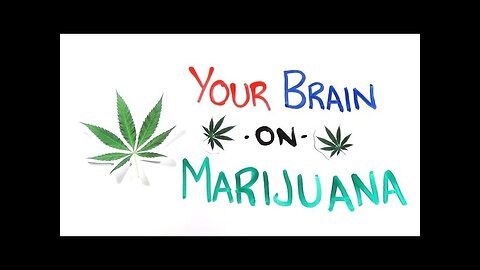 Your Brain on Drugs: Marijuana