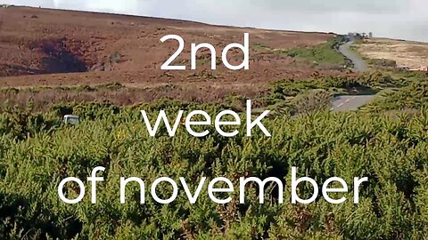 #irish, stealing, british wild, #ponies, #exmoor,