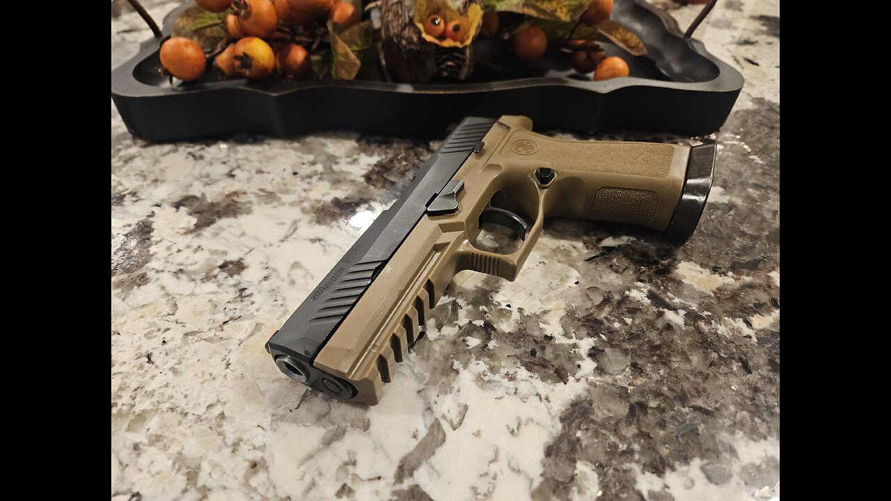 Sig Sauer P320 Full Size - The Most Hated Gun on the Internet