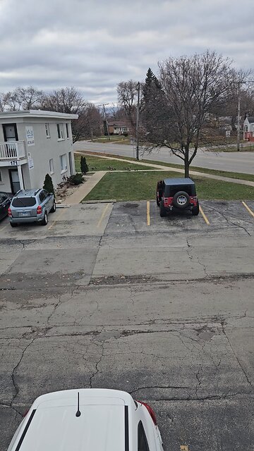 The Geese Came to Visit Me