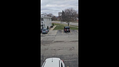 The Geese Came to Visit Me