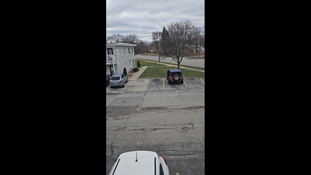 The Geese Came to Visit Me