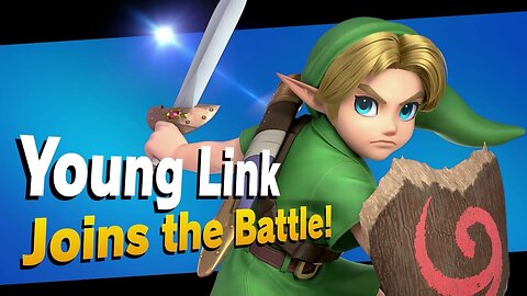 Link has joined the battle( baby reveal )