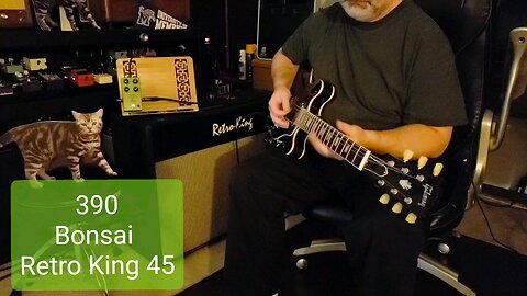 390 Retro King Bonsai