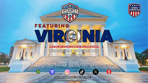 Steve Stern Election Integrity Call!