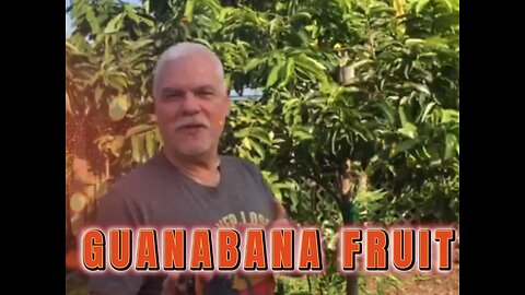 Pepe's Fruit Trees soursop guanabana introduction