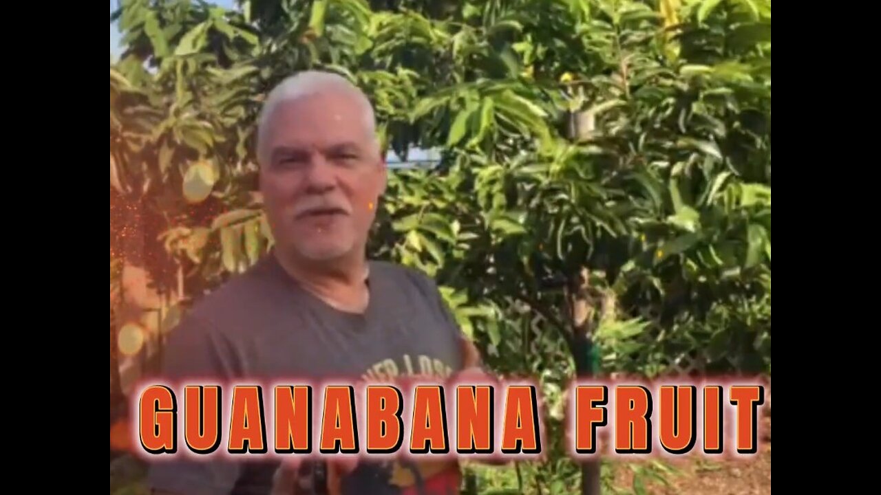 Pepe's Fruit Trees soursop guanabana introduction