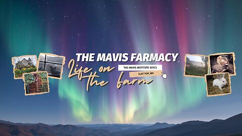 ❄️ Holler Radio: IRL Life on the Farm | December Edition | Music + Alan Watts