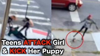 Bronx TEENS Attack Child & Kick Her Dog