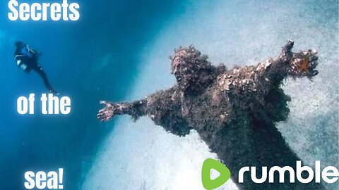 The secrets of the bottom of the sea