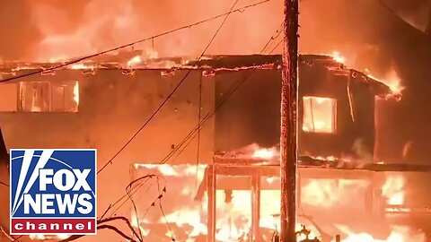 Newsom’s policies ‘allowed’ state park to burn, contributed to wildfires