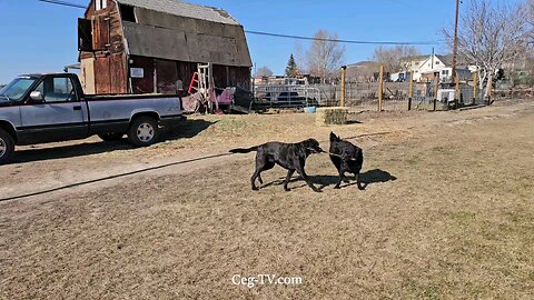 Graham Family Farm: 12:10 PM January 29th 2025