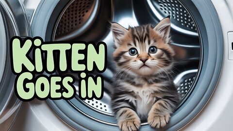 Kitten in the machine