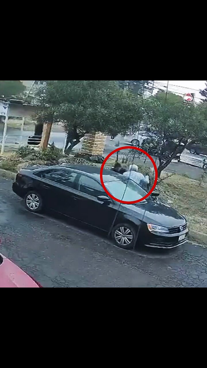 Robo frenado: delincuentes escapan tras no poder llevarse el auto