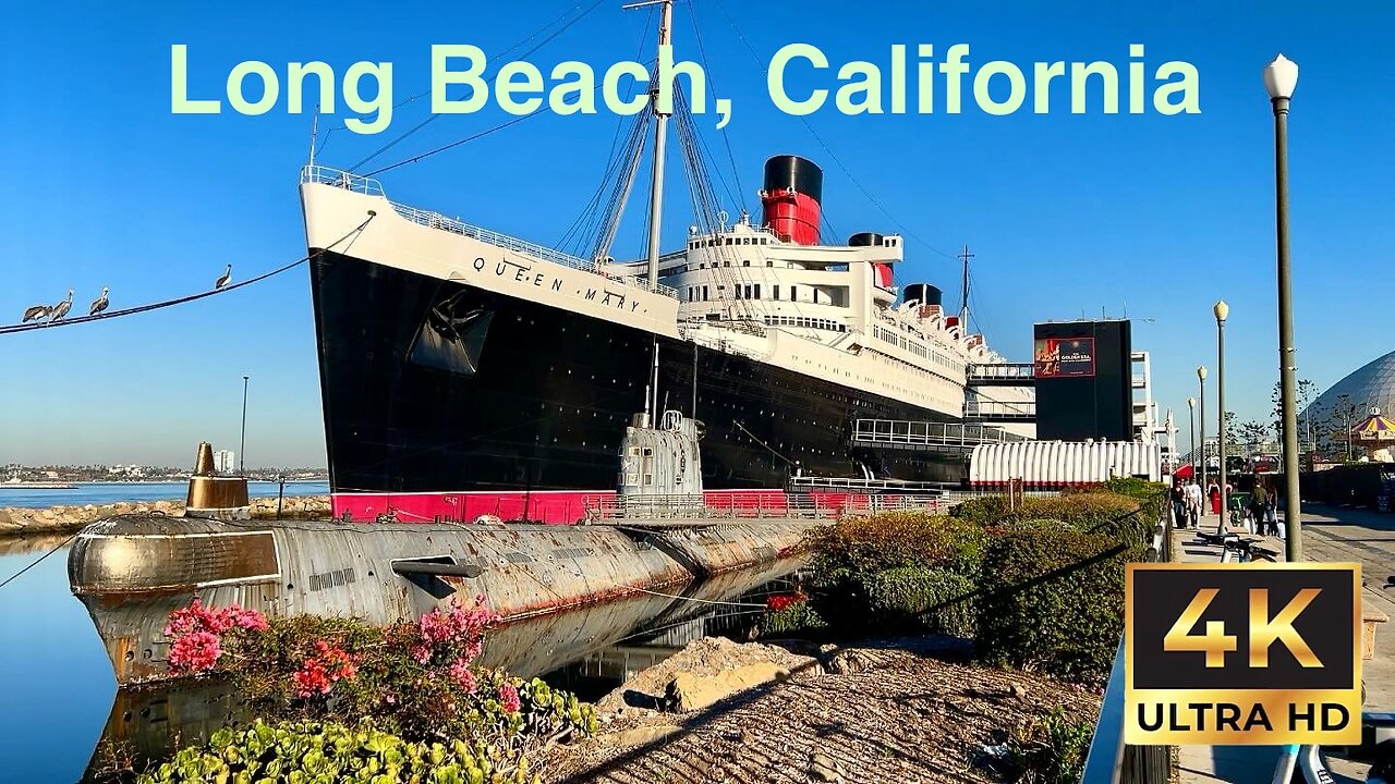 Walking virtual tour in Long Beach , California in 4K | By Aloha Robert