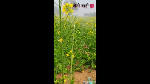 Farmer's life king status 2025|| #viralvideo || खेतीबाड़ी #kisankheti #trending #jamidar || 2025 ||