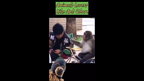funny money video 😁😁