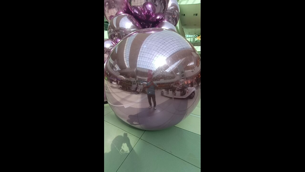 Flowers and indoor plants