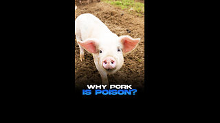 Pork Is The Worst Meat You Can Eat: Change My Mind🚫