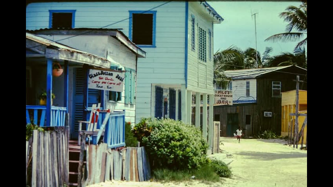 Assessing damage, November 1993