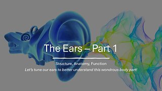 The Ears – Part 1: Structure, Anatomy & Function