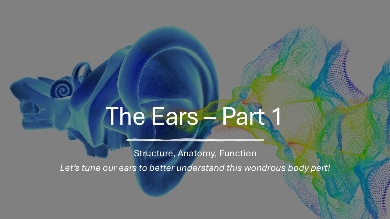 The Ears – Part 1: Structure, Anatomy & Function