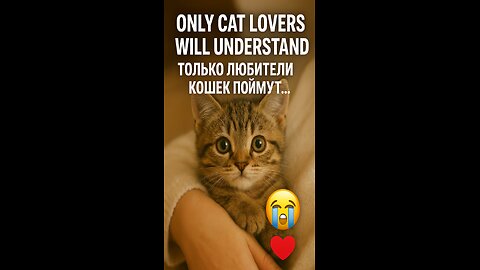 If You Love Cats, Prepare to Melt 😭💖🐾